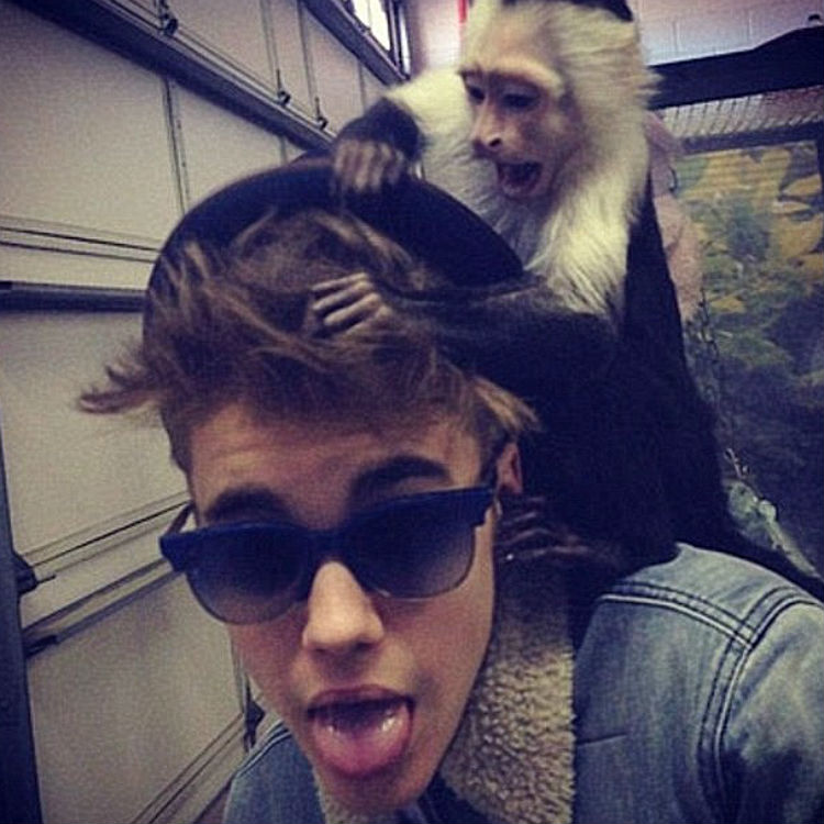 Justin Bieber abandoned his illegally obtained pet monkey at customs
