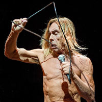 Iggy Pop To Tackle Seal Slaughter At Isle Of Wight Festival 2011