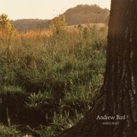 Andrew Bird - 'Noble Beast' (Bella Union) Released 02/02/09