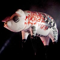 Remains Of Roger Waters' Coachella Pig Found In The Desert