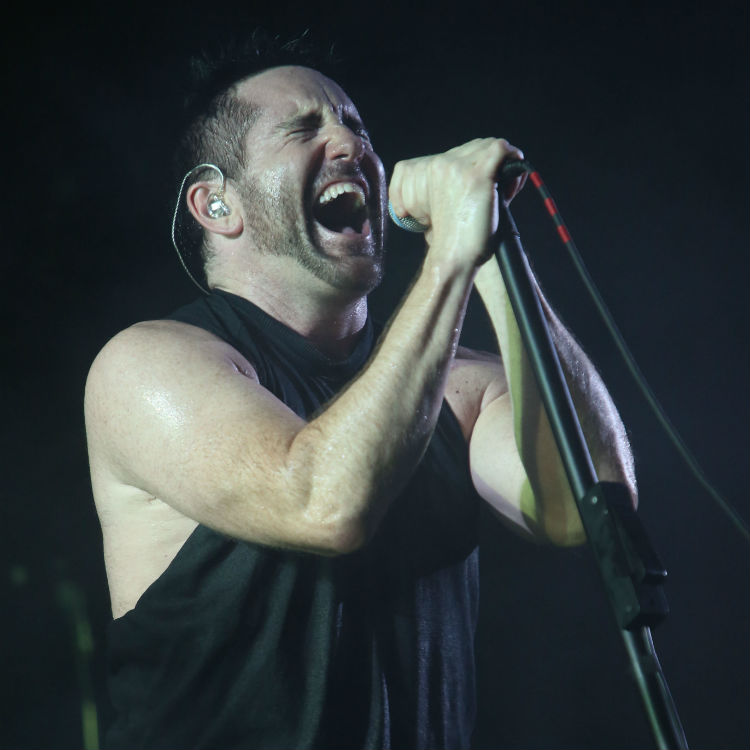 Nine Inch Nails, hurt, Cargo In The Blood, albums, tour