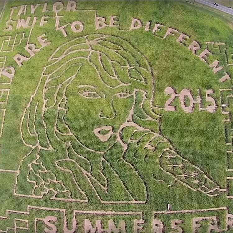 Taylor Swift's face put onto 12 acre maze in Maryland, America