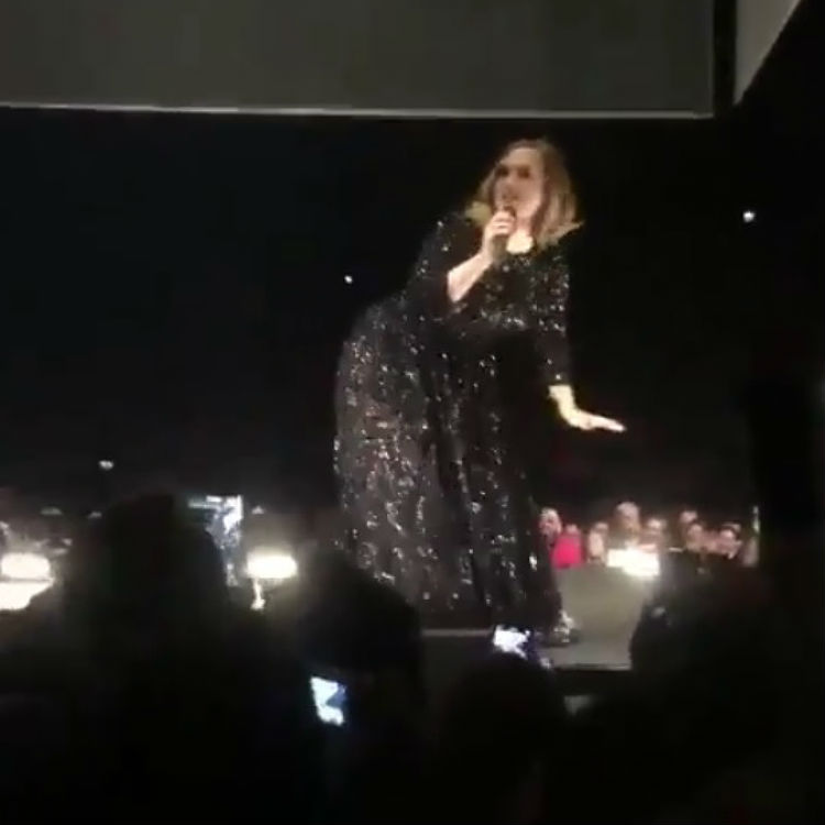 Adele twerking video, UK tour dates, tickets