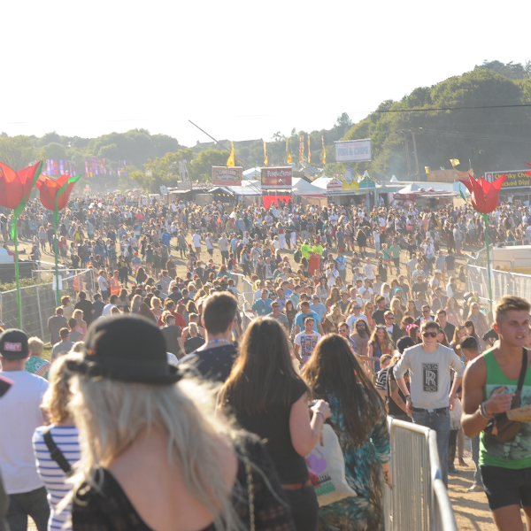 Get ready: 13 things you need to survive Bestival 2014