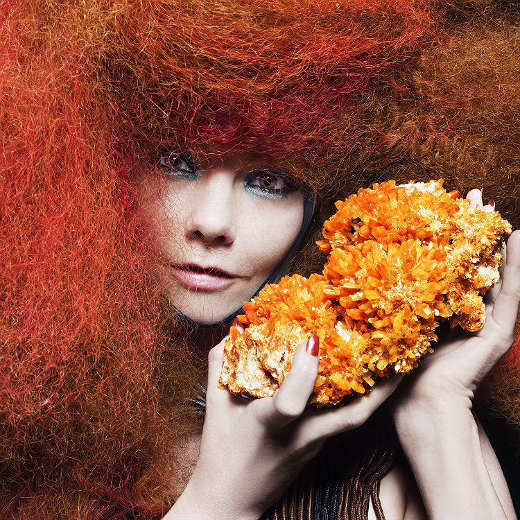 Bjork exhibition in New York to include 3D music and film experience