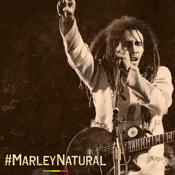 Bob Marley launches cannabis brand
