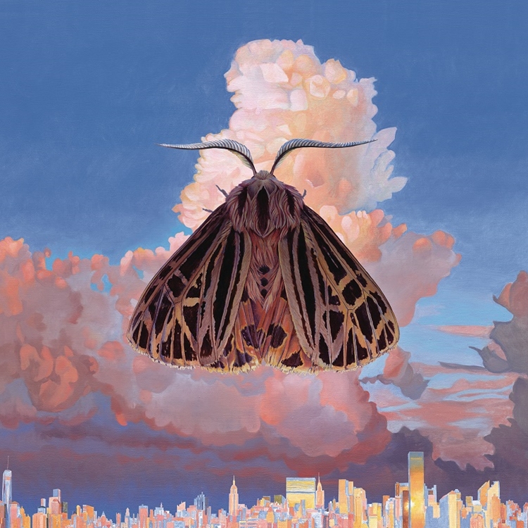 Review: Chairlift - Moth