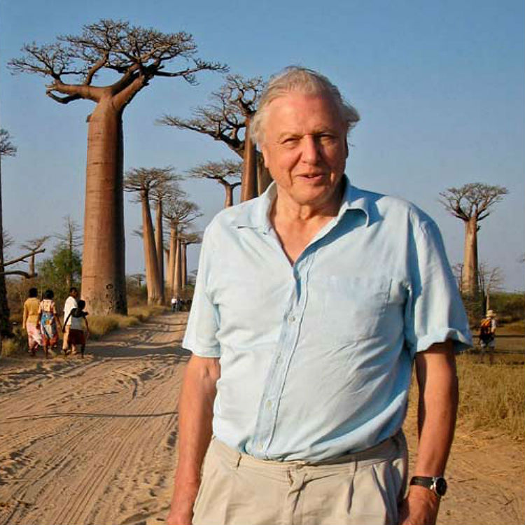 David Attenborough world music show BBC Radio 3 Planet Earth 2 