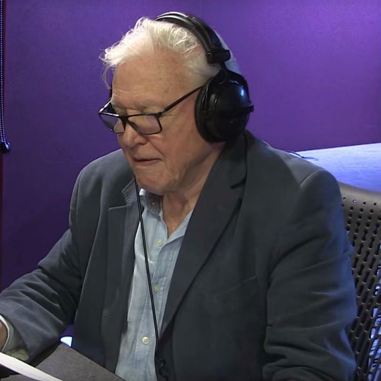 David Attenborough narrates Adele Hello video on Radio One