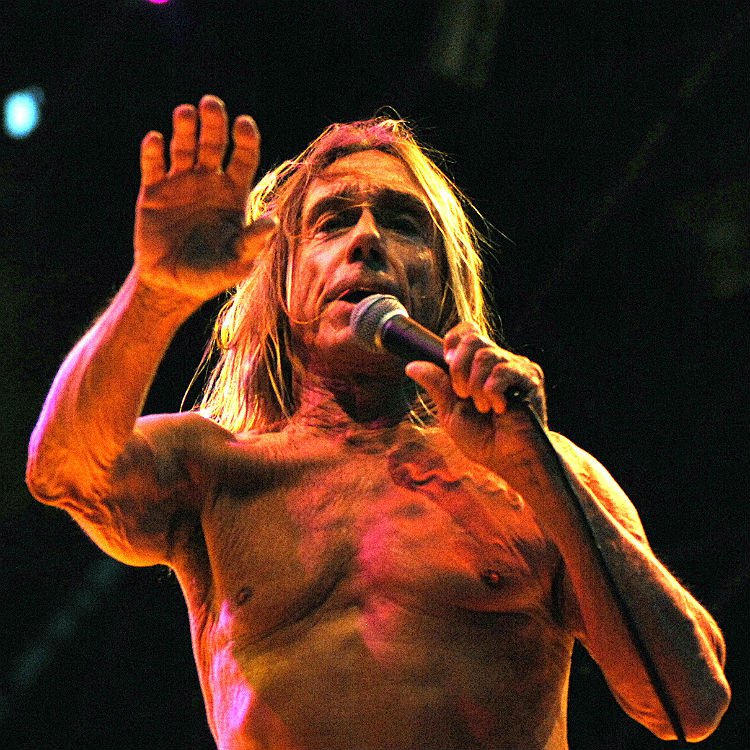 Iggy Pop won't play Foo Fighters replacement shows 