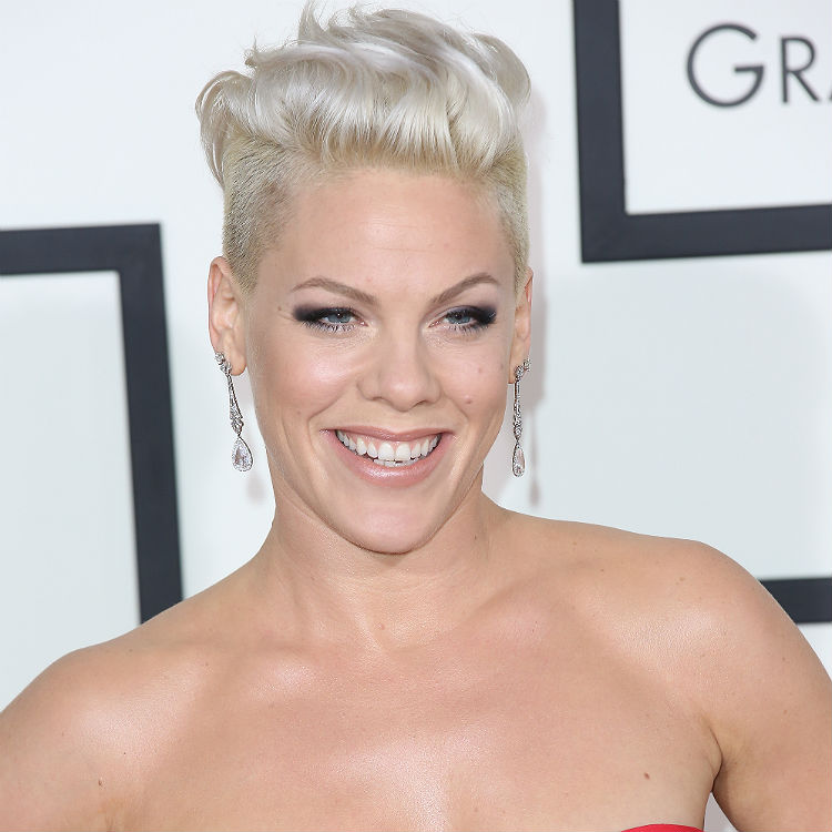 Judge rules taking child to Pink concert not parental abuse