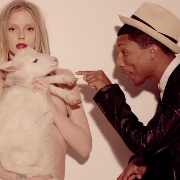 Pharrell Williams defends 'Blurred Lines', says he was intimate with a sheep
