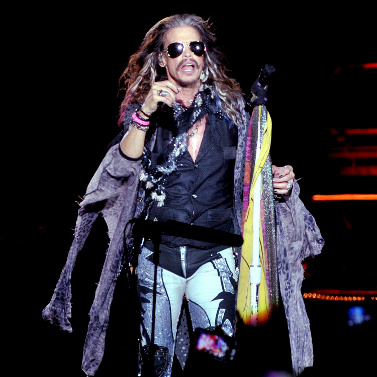 Steven Tyler sings Don't Want To Miss A Thing Moscow streets busker