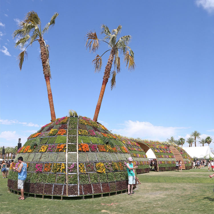 Coachella festival - reasons you should go 