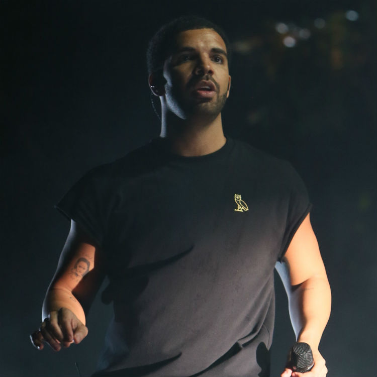 Drake surprise appearance at Mad Decent Block Party, watch video