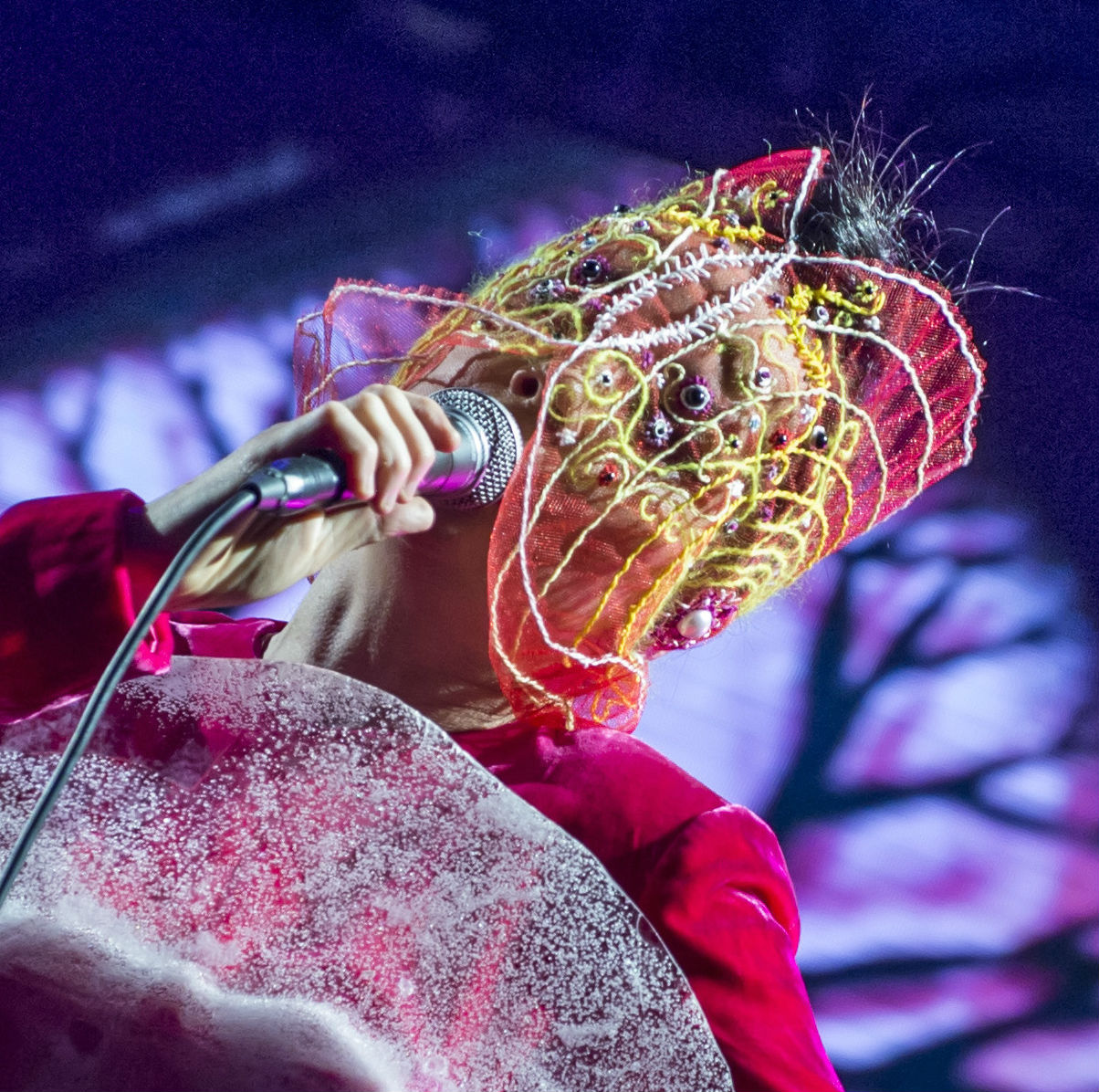 Bjork films bizarre new Mouth Mantra YouTube video inside her mouth