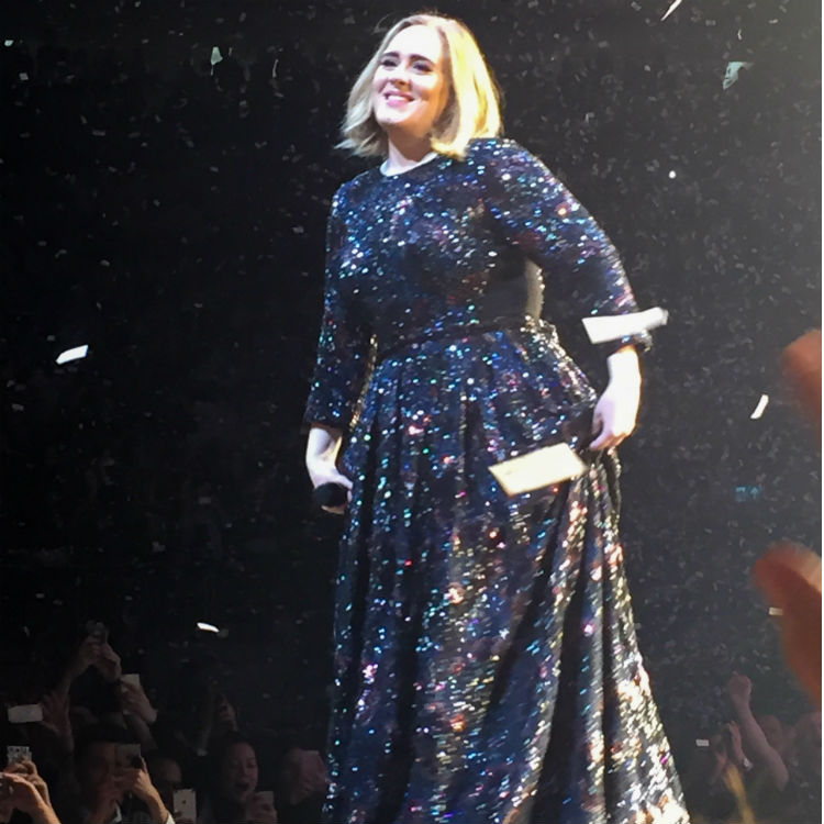 Adele invites look-a-like fan on stage for selfie in Birmingham 