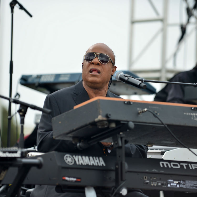 Stevie Wonder has claimed voting for Trump is like asking him to drive