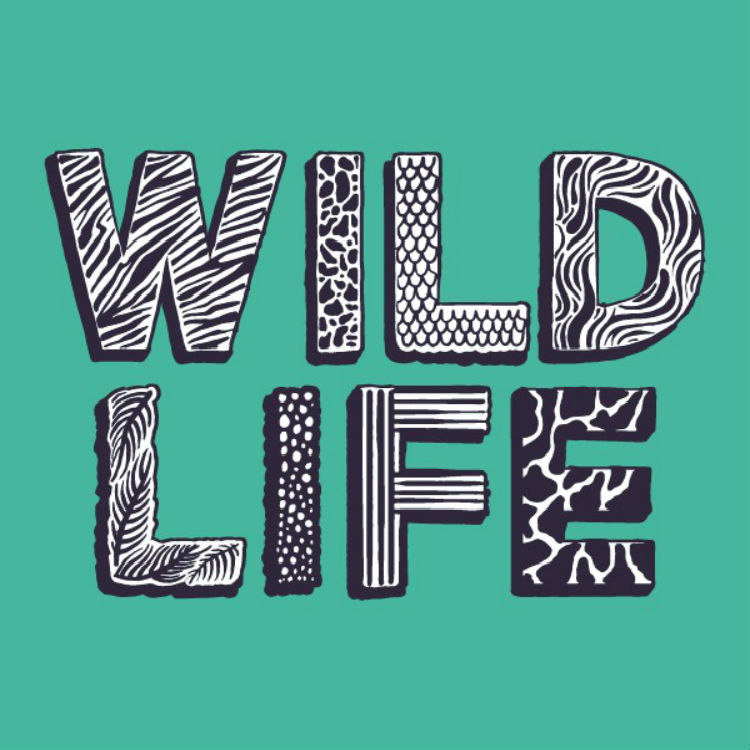 Disclosure Rudimental and Ice Cube headline Wild Life Festival busta