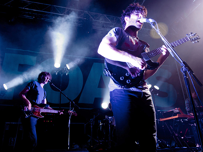 Foals