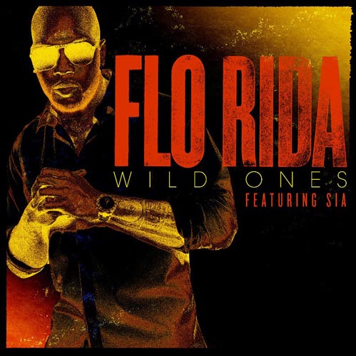 8. Flo Rida ft. Sia - 'Wild Ones'