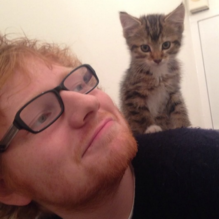 25 musicians and their incredibly cute pets