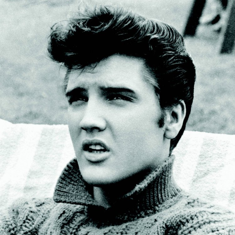 Elvis Presley named his horse Star Trek The Seven Ages Of Elvis