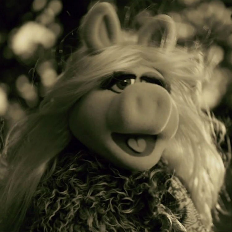 Adele's 'Hello' from her new album 25 is parodied by The Muppets