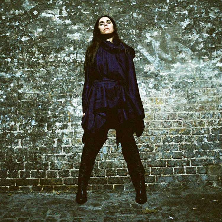 PJ Harvey The Hope Six Demolition Project track by track review listen