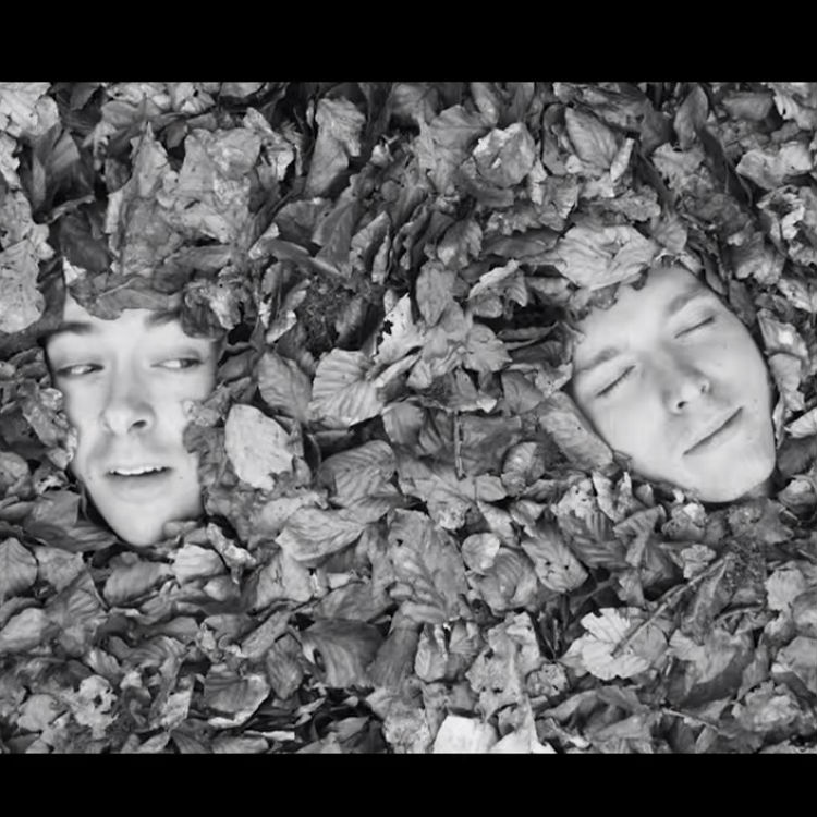 Twin Hidden premiere video for A Berry Bursts, watch on Gigwise