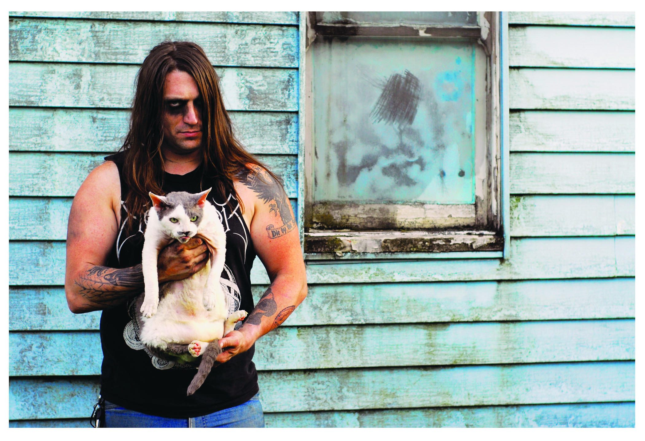Heavy Metal Cats